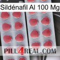 Sildénafil Al 100 Mg 19